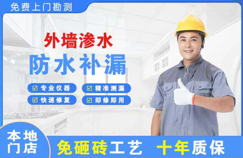 月湖外墙渗水维修